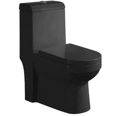 Toilet Closet Model No:98C S-Trap Black 250Mm