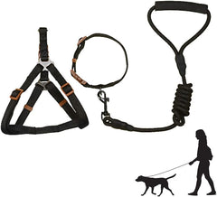 Dog Harness with Leash Set
