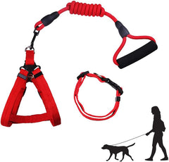 Dog Harness with Leash Set