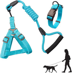 Dog Harness with Leash Set