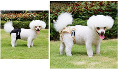 Washable Female Dog Diapers, Reusable Highly Absorbent Girl Heat Diaper Small Medium Large Wrap Durable Hygienic Pants Dog Tail Cover (Black, S:23-34 cm Waist)