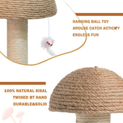 Cat Scratching Post For Kittens