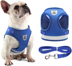 Dog Harness with Leash Set