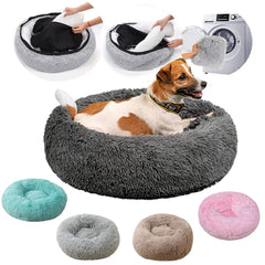 Cat Beds for Indoor Cats