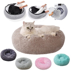 Cat Beds for Indoor Cats