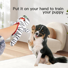 Squeaky Dog Toys,Colorful Durable Toy with Cotton Rope