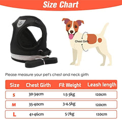 Dog Harness with Leash Set