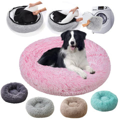 Cat Beds for Indoor Cats