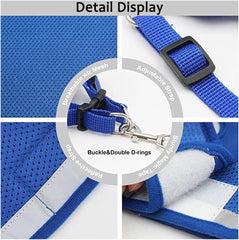 Dog Harness with Leash Set
