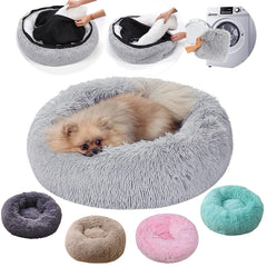 Cat Beds for Indoor Cats