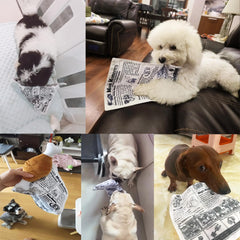 BIGTHREE 3-Pack Squeaky Newspaper Dog Toys, Dog Crinkle Paper Toys, Non-Shredding Washable Pet Interactive Crinkly Newspaper for Puppy, Small Dog, Pet Training, Tearing, Teething Toys