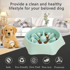 Slow Feeder Dog Bowls, Puppy Bowl