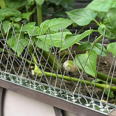 5PCS Bird Spikes Stainless Steel