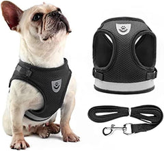 Dog Harness with Leash Set