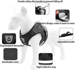 Dog Harness with Leash Set