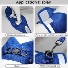 Dog Harness with Leash Set