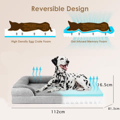 Orthopedic Dog Beds for Large Dogs